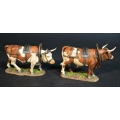 WSP106 Oxen for wagons and carts 